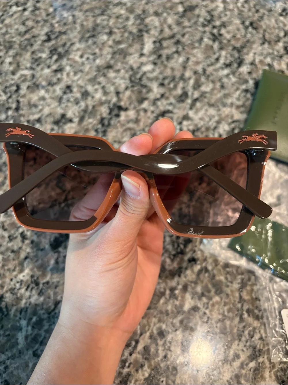 Longchamp nwt oversized